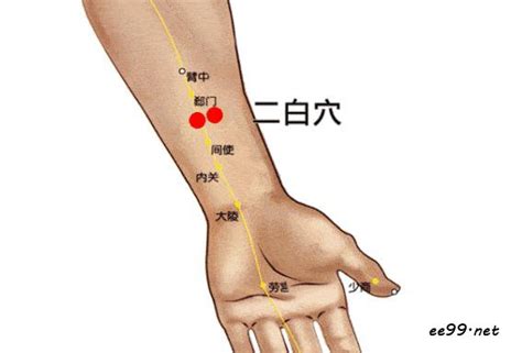 二白位置